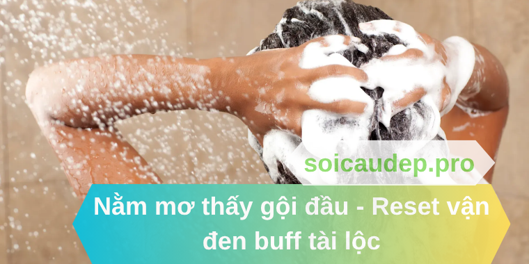 Nằm mơ thấy gội đầu