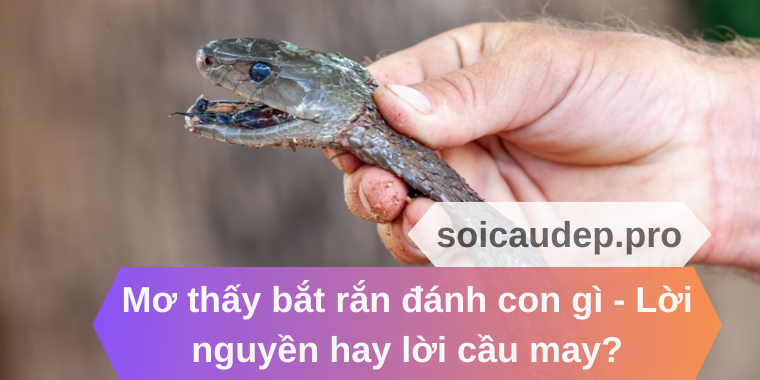 Mơ thấy bắt rắn đánh con gì