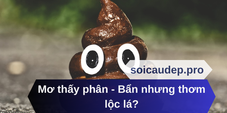 Mơ thấy phân - Bẩn nhưng thơm lộc lá?