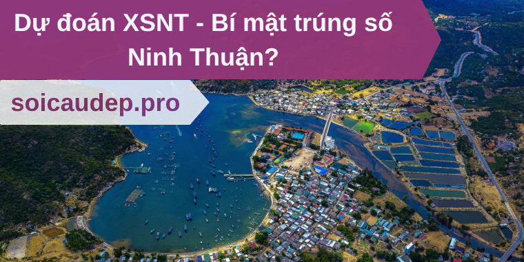 Dự đoán XSNT