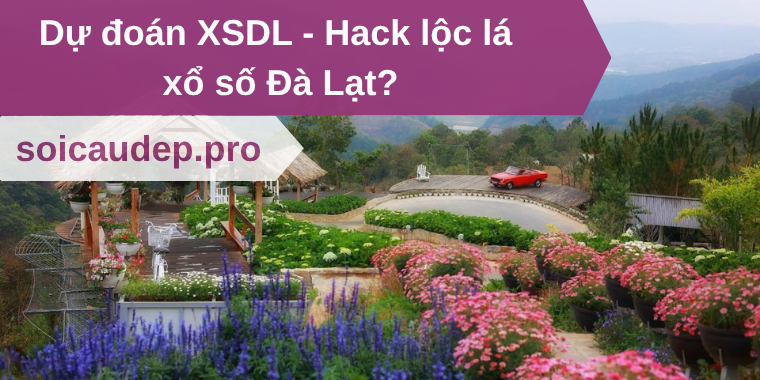 Dự đoán XSDL