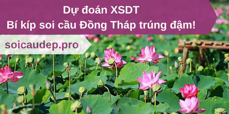 Dự đoán XSDT
