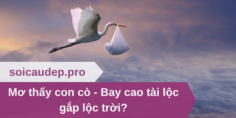Mơ thấy con cò